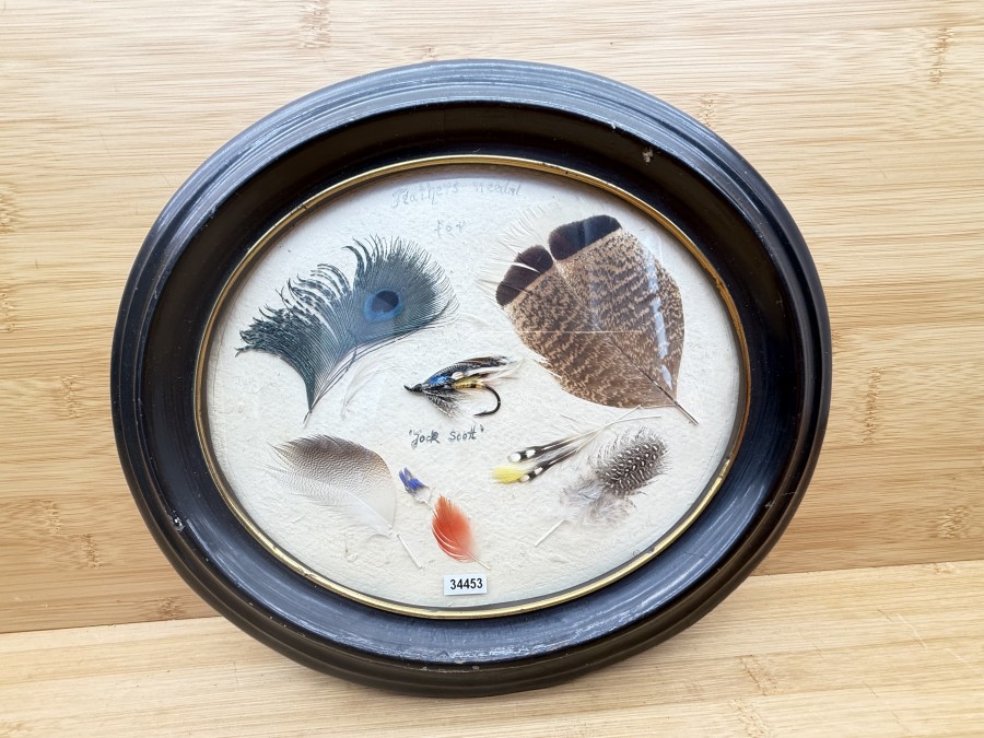 Lachsfliege im Rahmen, Feathers needal for Jock Scott, 310x260mm, Glasscheibe, Rahmen Gebrauchsspuren